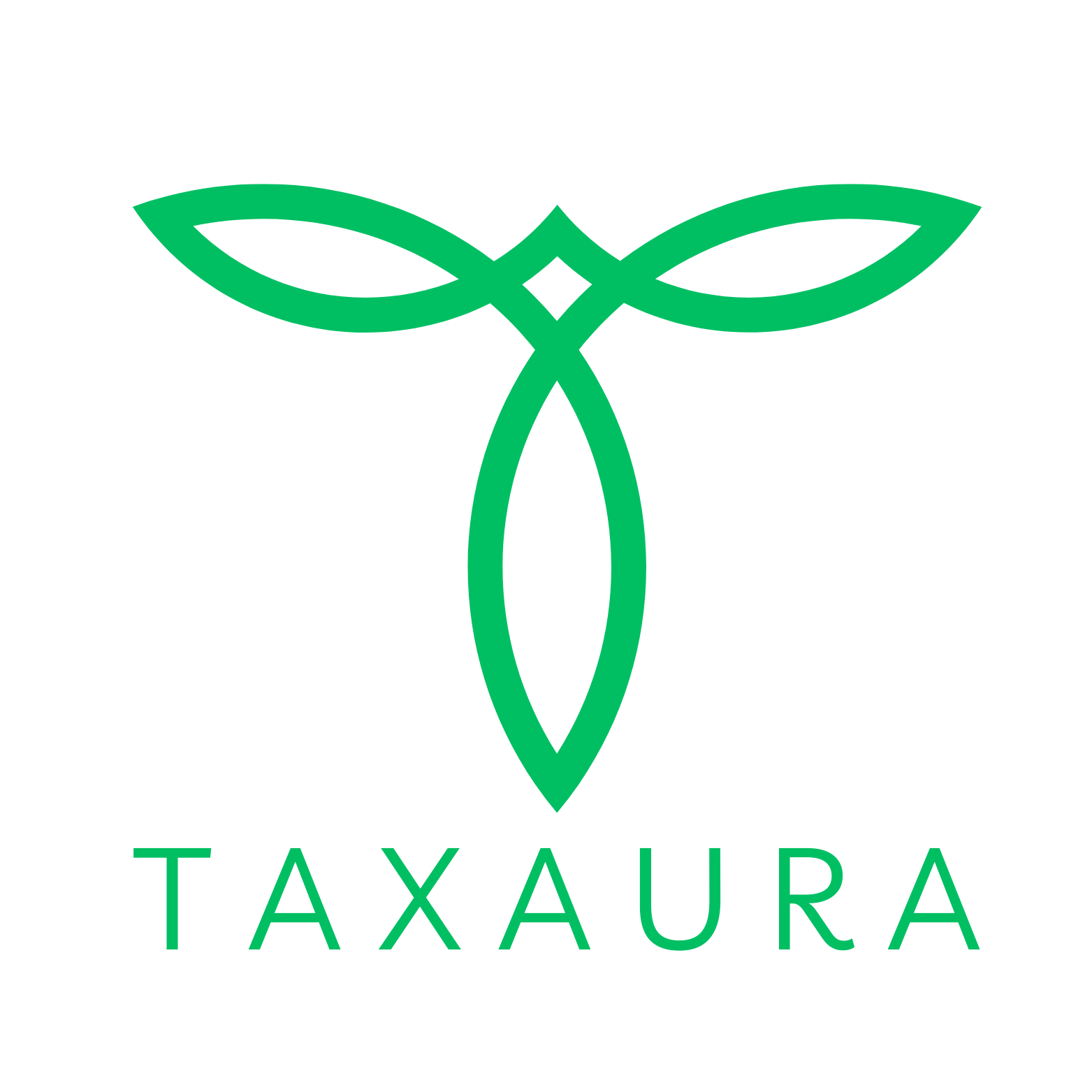 Taxaura.io tax automation platform interface screenshot